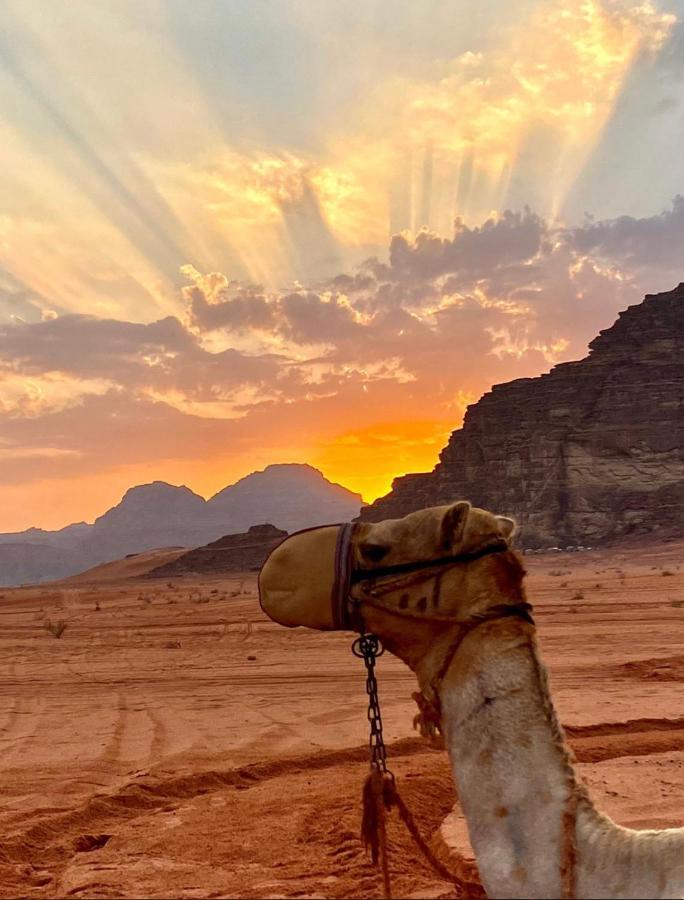 Rum Arjaan Luxury Camp Wadi Rum Eksteriør bilde
